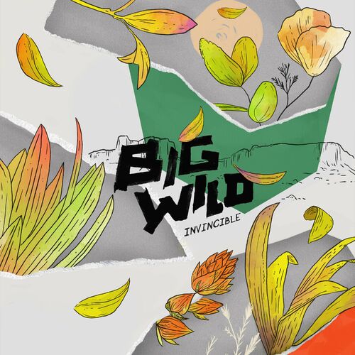 When I Get There — Big Wild