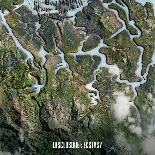 Expressing What Matters — Disclosure